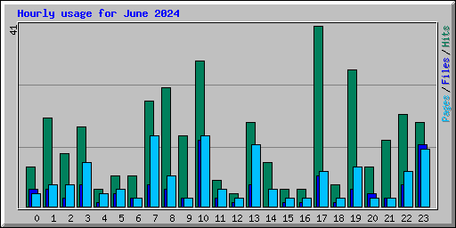Hourly usage for June 2024